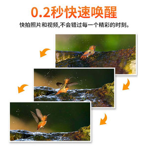 Caméra de sentier solaire Visian 1080P HD avec vision nocturne infrarouge, étanche IP65, détection de mouvement PIR pour la faune en extérieur - Product Image 4