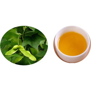 Sinir asidi 5%-6% Linolenic asit Flavone ve E vitamini Yuanbao akçaağaç tohumu zengin yeni kaynak gıda ektrakt yağı - Product Image 6