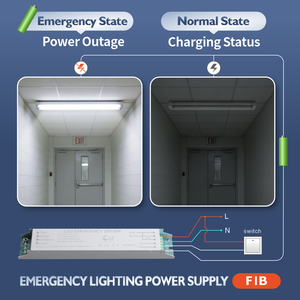 Driver LED d'urgence pour kit tubulaire – Nouvelle Arrivée, Meilleure Vente, Puissance Maximale 5-20W, AC 85-265V, Alimentation de Secours - Product Image 4