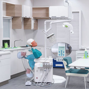 Sistema de Entrenamiento de Simulación Dental, Modelo Anatómico de Tamaño Real, Ecológico, No Tóxico, para Educación en Ciencias Médicas, Dientes Humanos - Product Image 6