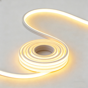 Bande LED néon flexible en silicone 24V personnalisée, indice de protection IP65, <span class=keywords><strong>lampe</strong></span> en forme de maïs pour application paysagère, bande néon à corps en PVC séparé - Product Image 2