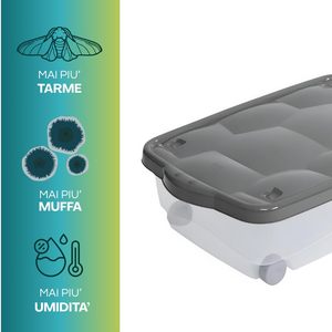 Contenitore Multiuso 60x40x18.5 Cm 24L con Ruote e Coperchio Trasparente per Lavanderia e Organizzazione - Product Image 3