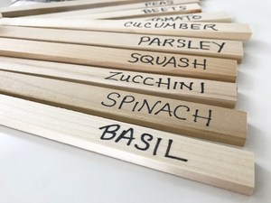 <span class=keywords><strong>Étiquettes</strong></span> de signe de plante en bois pointues personnalisées <span class=keywords><strong>étiquettes</strong></span> de marquage de <span class=keywords><strong>semis</strong></span> en bambou écologique - Product Image 2