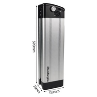 Batterie de vélo électrique Silver Fish 24V 10Ah 30Ah, pack de batteries 18650 grande capacité, BMS 30A pour vélo électrique, moteur 500W