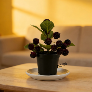 Plante artificielle de mûrier rouge de 18 cm en pot en plastique noir, plante fruitière festive de baies rouges, plantes en pot de baies rouges pour la décoration de jardin - Product Image 2