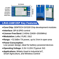Kit de développement DX-LR43-24M12S, module LoRa SX1281, 2,4 GHz, 12,5 dBm, longue portée 3 km, module émetteur-récepteur RF sans fil, SPI FLRC BLE