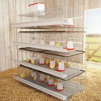 Nouvelle cage à poulets automatique en acier galvanisé de type H Linchuan Hebei, 3 à 8 niveaux, 80 kg, facile à nettoyer, durée de vie de 15 à 20 ans