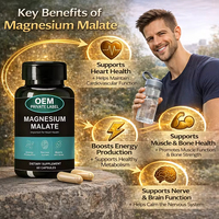 Capsules de chélate d'acides aminés de magnésium à haute absorption OEM Marque privée – Booste l'énergie, soutient la fonction musculaire et nerveuse – Adulte 500mg