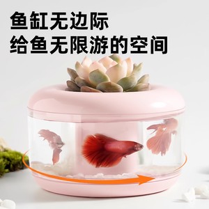 Aquarium circulaire avec éclairage pour poissons Betta, décoration de bureau, matériau transparent pour animaux de compagnie, 400g - Product Image 3