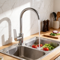 Robinet de cuisine au design moderne, à poignée unique, corps en alliage de zinc, noyau en céramique, idéal pour les hôtels et appartements