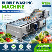 Industriële bubbelwasmachine voor groenteverwerkingsfabriek sla, kool, spinazie, wortel