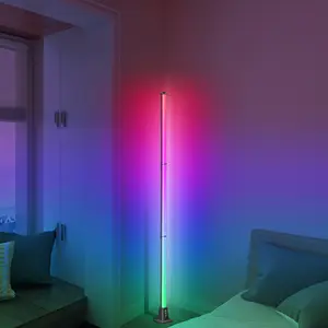 室内家居装饰角落落地标准灯照明现代支架LED RGB智能落地灯