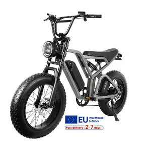 Full Suspension Fat Tire Electric Hybrid Bike 750W 1000W Velo Electrique Homme Retro Fat Tire Electric Bicycle E Bike Fatbike
