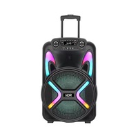 Enceinte de fête RGB 40W avec basses de 8 pouces, haute qualité, portable, multifonctionnelle, télécommande, mini-boîte FM pour extérieur et sport NDR-122