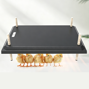 Plaque chauffante pour poussins 80W à <span class=keywords><strong>prix</strong></span> d'usine, chauffe-poussins pour l'élevage de poussins - Product Image 1