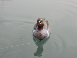 Leurre de simulation de chasse en plein air 12.5 "appât de canard de chasse <span class=keywords><strong>Sarcelle</strong></span> leurre de canard de chasse de haute qualité - Product Image 3