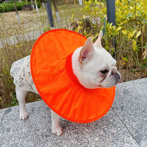 <span class=keywords><strong>Collare</strong></span> <span class=keywords><strong>per</strong></span> animali domestici Elizabeth anello di pelle sterilizzata o castrata anti leccata ferita grande <span class=keywords><strong>collare</strong></span> impermeabile <span class=keywords><strong>per</strong></span> cani - Product Image 4