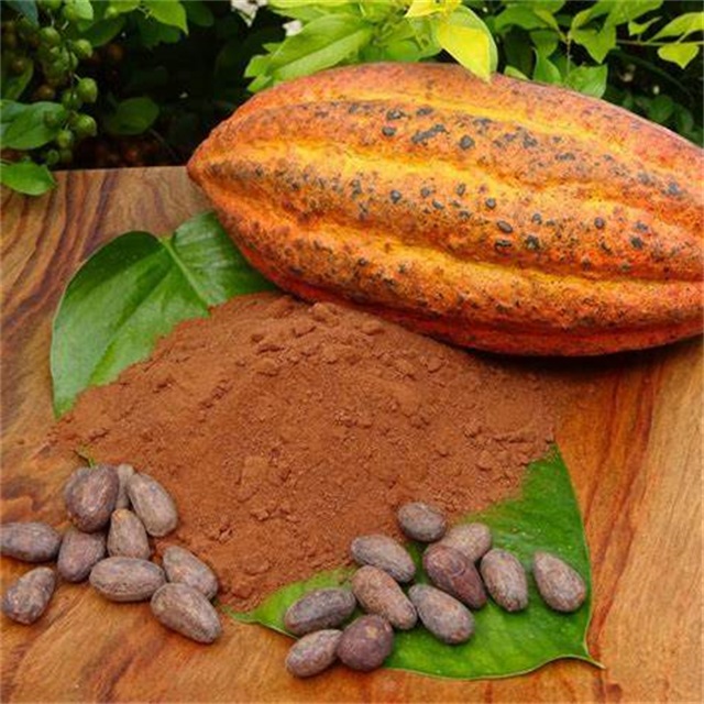 Темно-коричневый алкализованный какао-порошок, жир 10-12% для приготовления шоколадного печенья