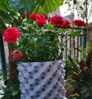Pot d'élagage à air, à croissance rapide, 3 l, 1 tonne