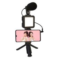 Kit de vlogging professionnel, équipement de vlogging, microphone à condensateur, réduction du bruit, lumière LED de remplissage, trépied portable