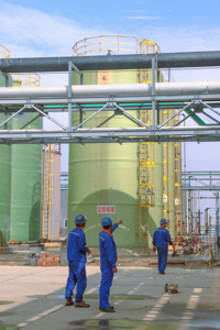 Sản Phẩm Mới <span class=keywords><strong>2025</strong></span> Hot Bán Magiê Sulphate Hạt Độ Tinh Khiết 99% Nông Nghiệp Phân Bón Sơn Đông Nhà Sản Xuất Tại Giá Tốt Nhất - Product Image 6