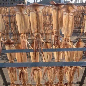 Cá Mực Khô Đông Lạnh Cung Cấp Ổn Định - Product Image 3