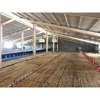 Système d'alimentation pour poulets de chair, mangeoire transparente à grande base pour poussins d'un jour, pour cage ou sol