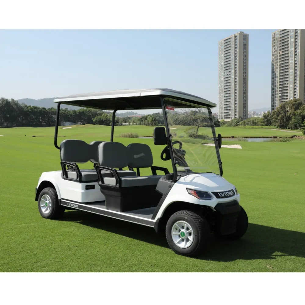 LVTONG nuovo 2 posti Sightseeing Bus Hunting Club Golf Cart Electric Golf Buggy
