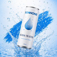 Eau gazeuse sans sucre 330ml en canette, boisson gazeuse personnalisable avec logo et saveur, boisson rafraîchissante