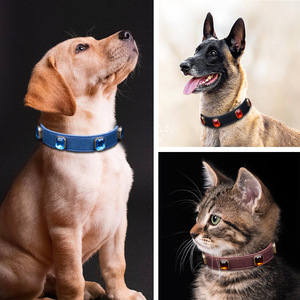 Lujo agua diamante cristal <span class=keywords><strong>Bling</strong></span> gato y perro collar diamantes de imitación cachorro perro Collar PU cuero - Product Image 5