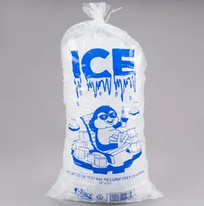 Sac de glace en plastique, contenant avec votre propre logo, recyclage des cubes, pour glace, 10 unités
