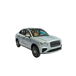 Voiture électrique 5 places à importation rapide, véhicule utilitaire neuf à énergie renouvelable, conduite à gauche, autonomie 101-200 km, moteur 50 kW - Product Image 1