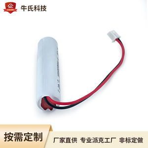 Batería Ni-Cd 2/3AA 800mAh 2.4V Recargable Para Luz de Emergencia Electrónica de Consumo - Product Image 5