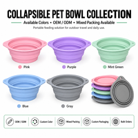 Bol pliable pour animaux de compagnie, en silicone de qualité alimentaire, pliable, pour les voyages, avec deux poignées, bol d'alimentation pour animaux de compagnie