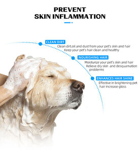 Nouveau produit Shampooing pour <span class=keywords><strong>chat</strong></span> et chien 500 ml Écologique Biologique <span class=keywords><strong>Antifongique</strong></span> Apaisant Hydratant Nourrissant Gel douche Stocké dans la salle de bain - Product Image 3