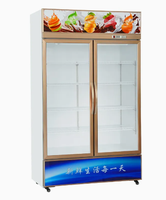 Vitrine réfrigérée verticale pour supermarché, congélateur à porte vitrée, refroidisseur ouvert pour boissons