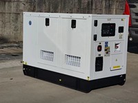 Générateurs diesel silencieux de 200 kW en veille, 250 kVA, machine de production d'électricité, régulateur ATS AVR