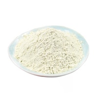 Complément alimentaire de qualité alimentaire à base de plantes, sans gluten et sans sucre, faible en glucides, poudre de protéines de haricot mungo à 80%