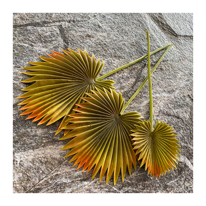 พัดลมเดี่ยวผลิตจาก Pu,พัดลมผลิตจากพลาสติกเทียมทันสมัย - Product Image 3