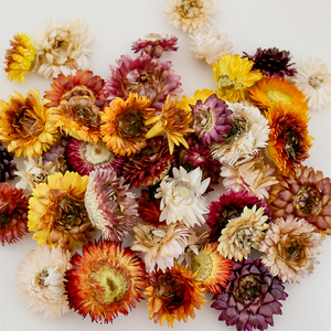 Pétales de <span class=keywords><strong>fleurs</strong></span> séchées en vrac - 16 variétés d'herbes naturelles pour confettis de mariage, bombes de bain, fabrication de bougies et de savons - Product Image 5