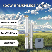 Pompe à eau submersible électrique multi-étages à moteur sans balais en acier inoxydable pour puits profond, faible pression, pour usage familial, OEM, directement de l'usine