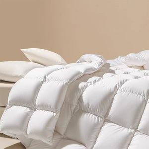 Nouveau doux et moelleux pour les besoins sensoriels <span class=keywords><strong>couette</strong></span> chaude insérer plume vers le bas <span class=keywords><strong>couette</strong></span> hôtel luxe <span class=keywords><strong>oie</strong></span> <span class=keywords><strong>canard</strong></span> vers le bas <span class=keywords><strong>couette</strong></span> - Product Image 4