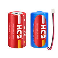 Batterie lithium-ion haute capacité CKXIC ER26500M 3,6 V, type C, 2e génération NBLT, alimentation pour appareil IoT