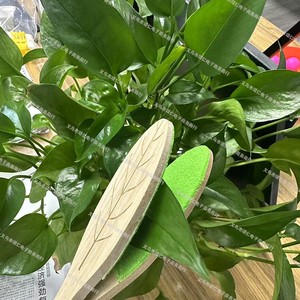 Leaf <b>Cleaning</b> Tongs Wooden Handle Microfiber Head Plant Leaves Cleaner Simple Style 7-12.9in Length Soft <b>Duster</b> - Product Image 4