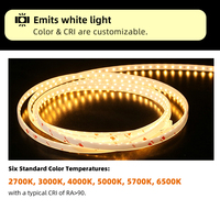 Bande lumineuse LED flexible en silicone imperméable IP66 personnalisée LFB1205-2, lumière néon pour extérieur, paysage, jardin, mur de fleurs