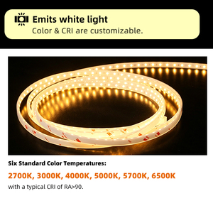 Bande lumineuse LED flexible en silicone imperméable IP66 personnalisée LFB1205-2, lumière néon pour extérieur, paysage, jardin, mur de fleurs - Product Image 5