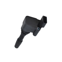 Car Engine Parts 07P905110B for Bentley Bentayga Continental Ignition Coil