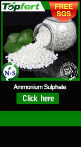 <span class=keywords><strong>Triple</strong></span> <span class=keywords><strong>Super</strong></span> <span class=keywords><strong>Phosphate</strong></span> 44% <span class=keywords><strong>46</strong></span>% <span class=keywords><strong>TSP</strong></span> Phân Bón Dạng Hạt/Bột <span class=keywords><strong>Super</strong></span> Fosfato Phân Bón Hòa Tan Trong Nước Nhà Máy Bán Buôn - Product Image 5