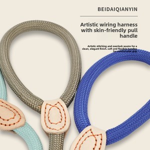 Guinzaglio per Addestramento Cani, Resistente alle Esplosioni, Corda e Catena in PP Rinforzato, Stile Classico - Product Image 2