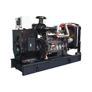 Shandong WT10B-308 conjunto de geradores diesel silenciosos de 260kw, máquinas de geração de eletricidade, grupo gerador barato de 320kva, gerador de dinamo